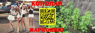 прущие крисы Лесосибирск