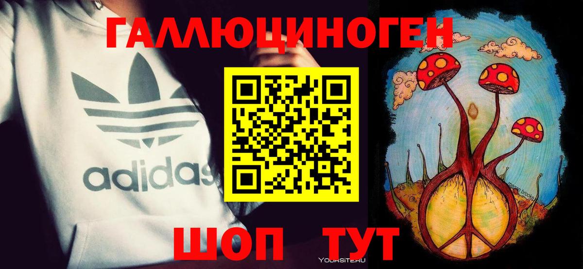 Галлюциногенные грибы Cubensis Канск