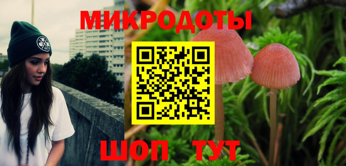Псилоцибиновые грибы мицелий  Вход с VPN  Псилоцибиновые грибы ЛСД  Канск 